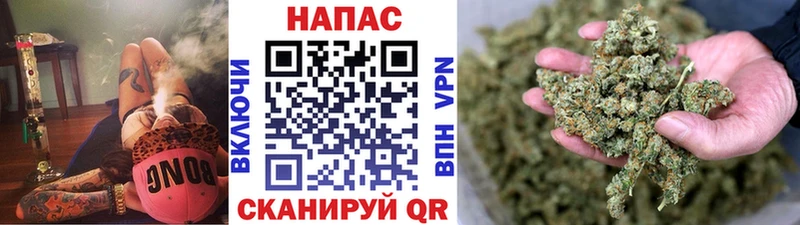 что такое   Суровикино  Конопля Amnesia 